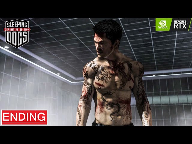 Sleeping Dogs graphics mod 2020 