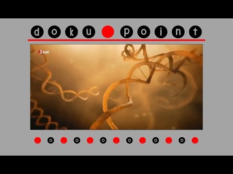 Doku 2016 - Unsere Evolution: Woher wir kommen - HD/HQ
