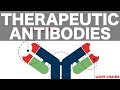 Therapeutic (Monoclonal) Antibodies