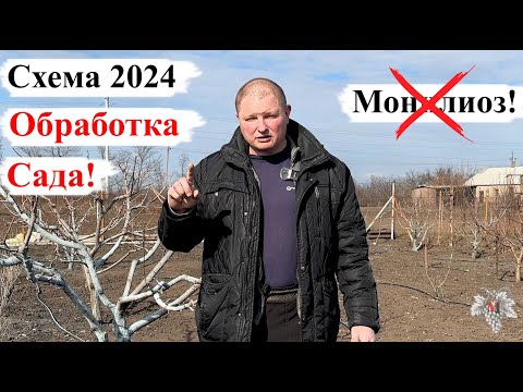 Схема ОБРАБОТКИ САДА! Защита ДЕРЕВЬЕВ от МОНИЛИОЗА! СЕЗОН 2024