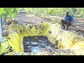 Prakruti farm junagadh  overview of making amrut mitti organic natueco farming