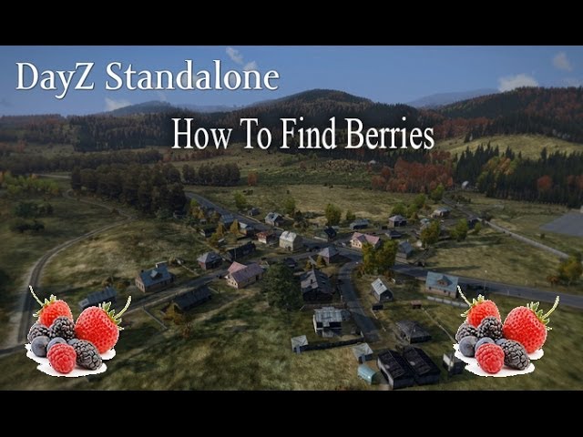 How To Get Berries On Dayz Standalone Youtube - dayz standalone beta roblox