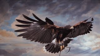 One Extraordinary World - Royal Opera House Spring Season 2012/13 Trailer
