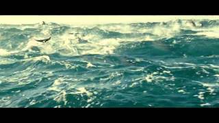 картинка: Dolphin - Последний Дельфин