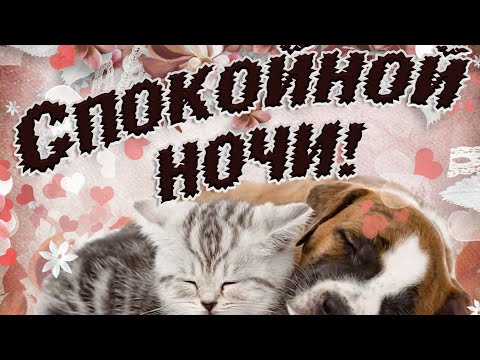 Доброй Ночи! Закрывай Скорее Глазки, Пусть Тебе Приснятся Сказки) Музыкальная Открытка Для Тебя)