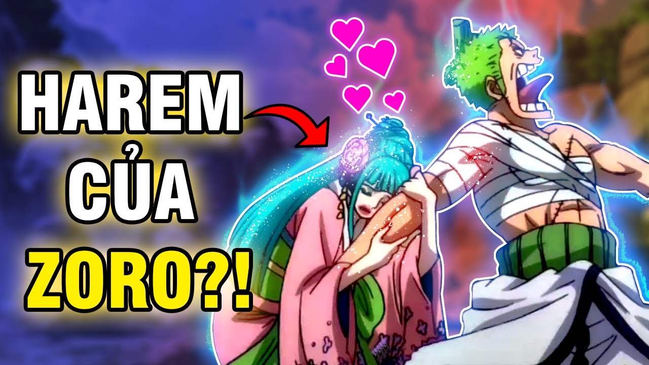 Những Cô Nàng Mê Mẩn Zoro | Dàn Harem của Zoro Gồm Có Ai?!