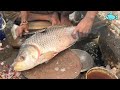 Fastest Big Rohu Fish Cutting &amp; Chopping Skills By Expert Fish Cutter In Asian Fish Market