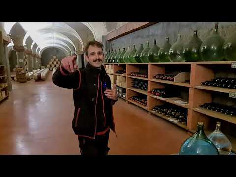 Video: Birrerie, Distillerie E Aziende Vinicole Che Ospitano Degustazioni E Tour Virtuali