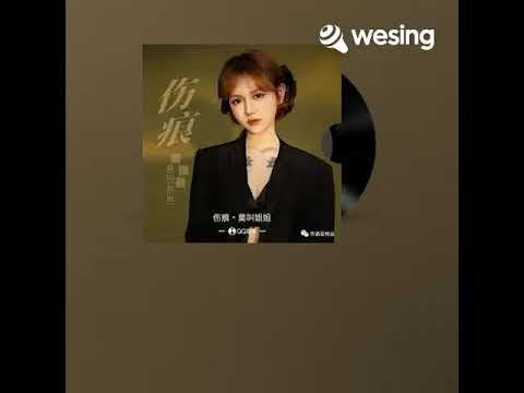 伤痕 cover