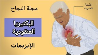 - التمرين 6 في الإنزيمات [ يتحدث عن بكتيريا المكورات العنقودية ] .