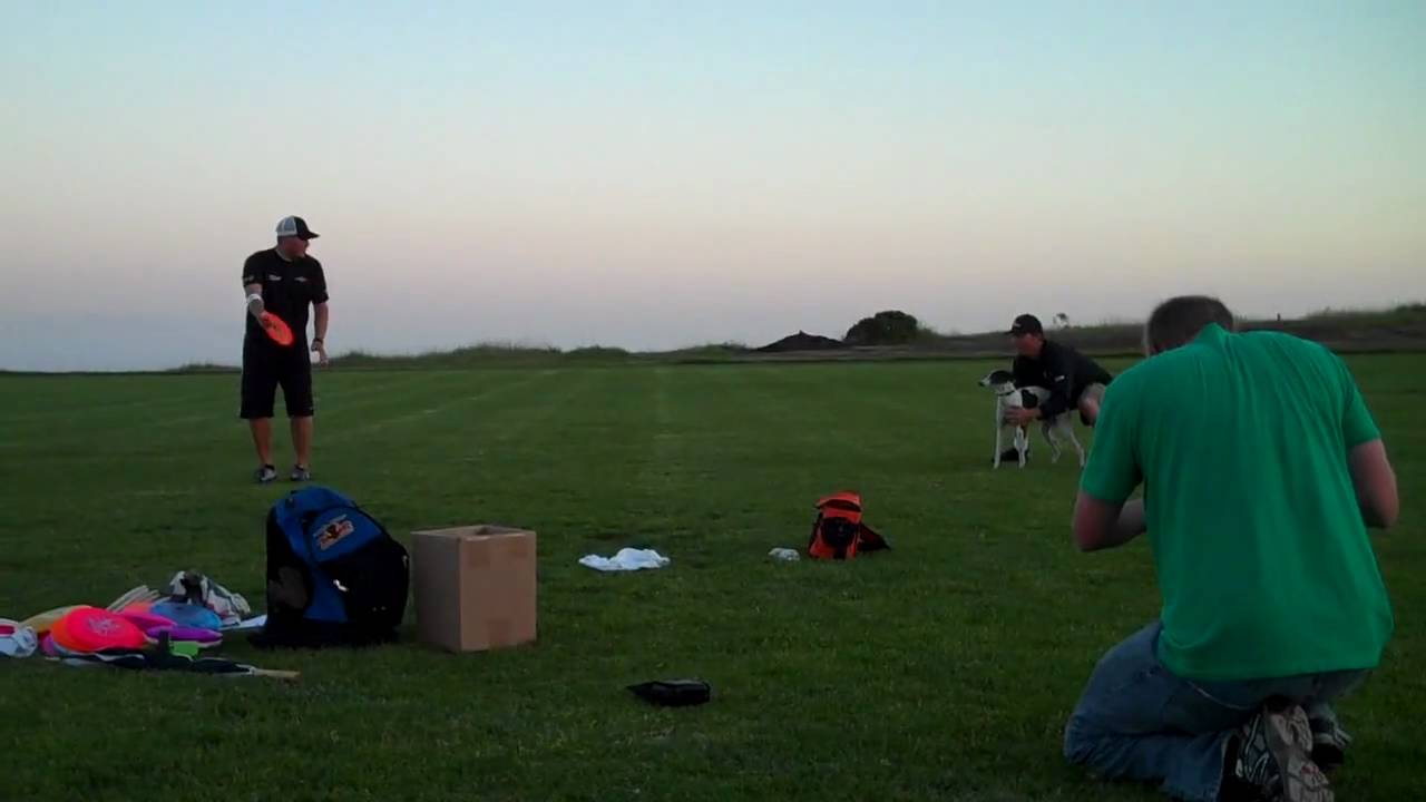 Avery Jenkins attempting World Record frisbee throw to dog catch YouTube