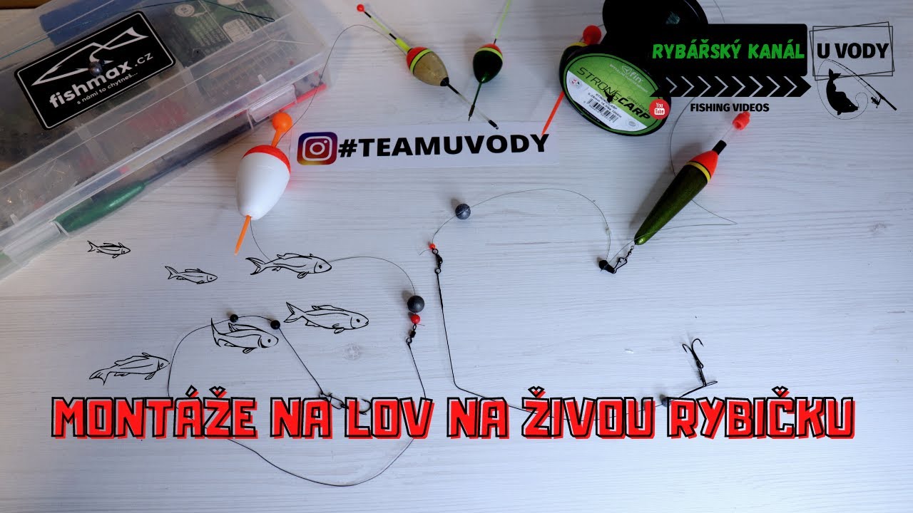 Montáž na lov dravců na živou rybičku| 2 druhy, jednoduché a účinné montáže|