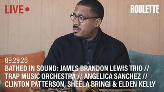 Details James Brandon Lewis Trio // Trap Music Orchestra // Angelica Sanchez & More // Live at Roulette Update