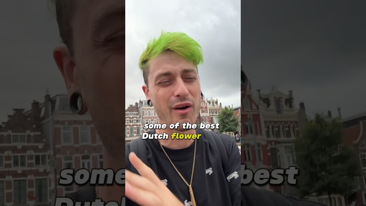 The best Dutch 🍃 flower I’ve had in ages!