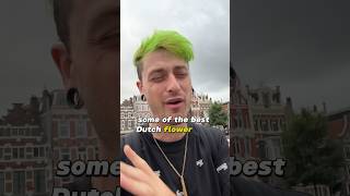 The Best Dutch Flower Ive Had In Ages