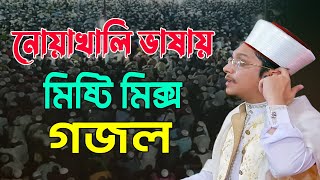 নোয়াখালি ভাষায় মিষ্টি মিক্স গজল ! সাইয়্যেদ মাখদুম শাহ্ আল-মাদানী ! ROYAL TV BD