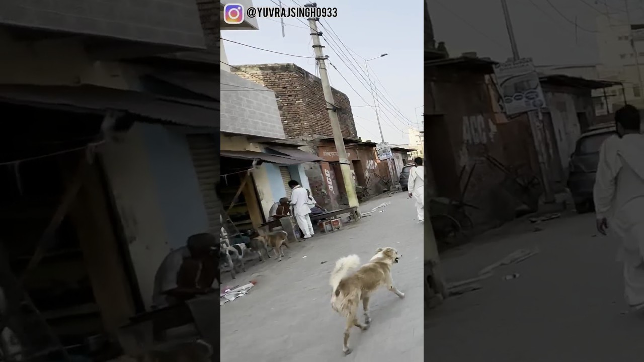 accident in vrindavan | watch full vlog on my channel