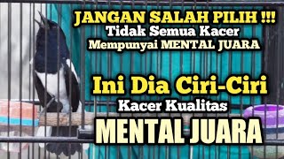 JANGAN SAMPAI SALAH PILIH !!! SPERTI INI Ciri-Ciri KACER KUALITAS MENTAL JUARA