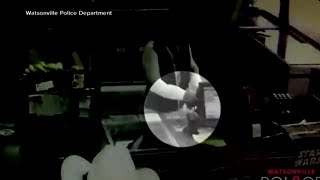 Inside secret service 'skimming' crackdown as agents hunt for scam devices; How to spot them