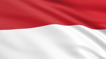 Flag of Monaco waving in the wind - Flag animation - Motion background - 4K UHD