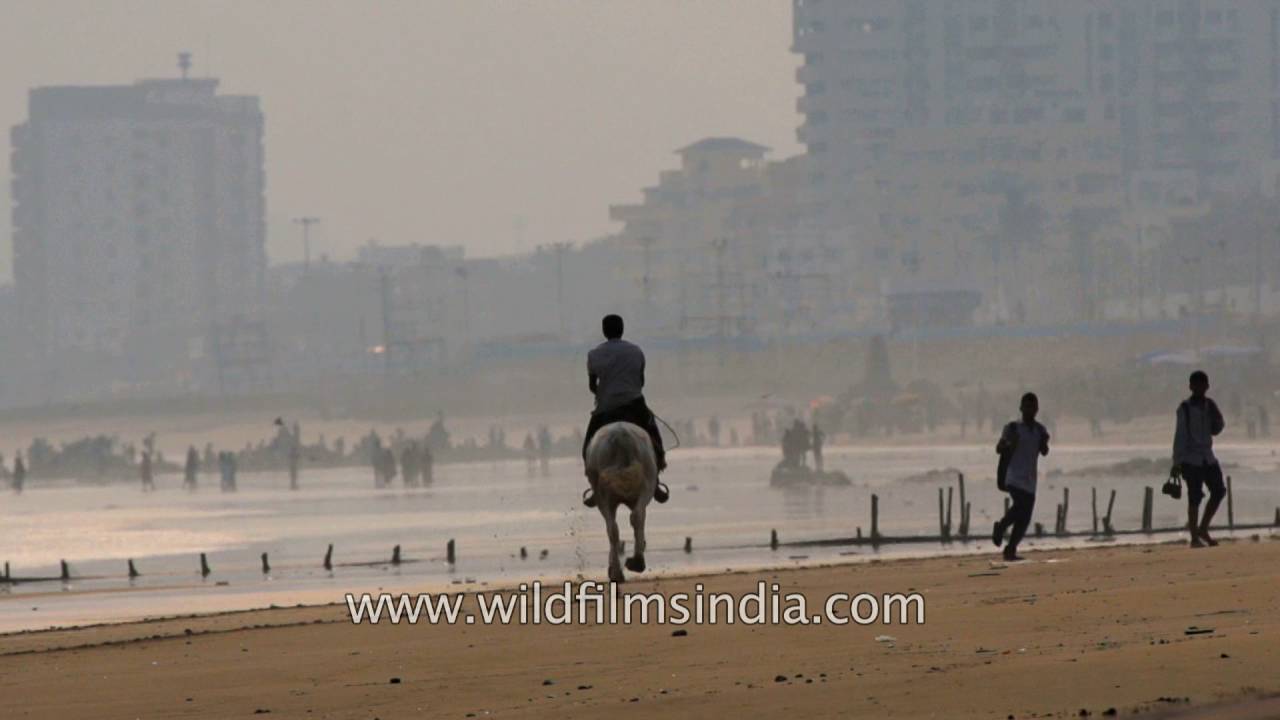 Man rides a horse at Ramakrishna Mission Beach shore in Visakhapatnam