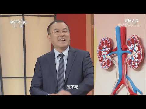 [健康之路]肾结石哪里来 肾结石| CCTV科教