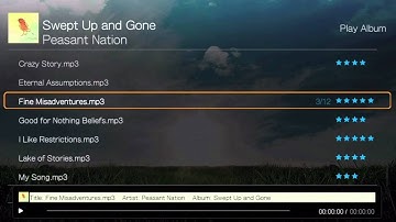 WD TV Live Hub Play Music video (German)