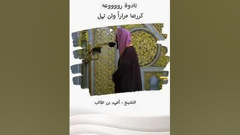 تلاوة رائعة وجميلة من سورة العنكبوت بصوت الشيخ أحمد بن طالب