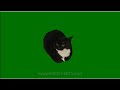 Maxwell The Cat Spinning (Green Screen)