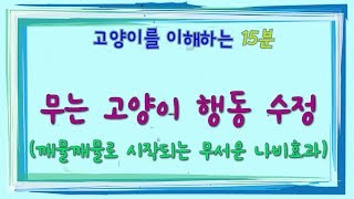 무는 고양이 버릇고치기 (고양이 행동 수정 깨물깨물 장난으로 시작되는 무서운 나비효과)