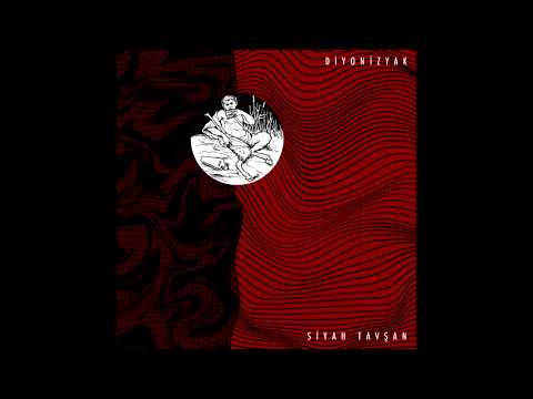Siyah Tavşan -
