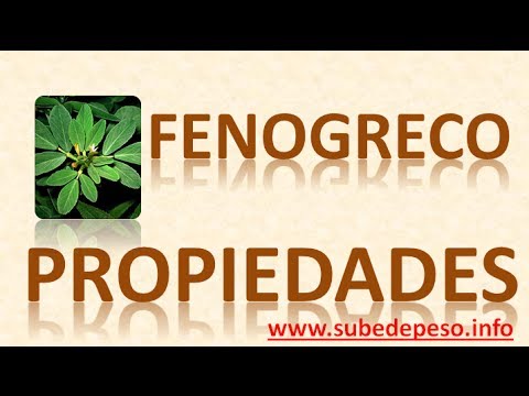 fenogreco sirve para engordar