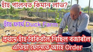 হাঁহৰ ফাৰ্ম কেনেকৈ কৰিব ॥DUCK FARM IIDuck farm Videos II DUCK FARM IN ASSAM #duckfarming #duckfarm