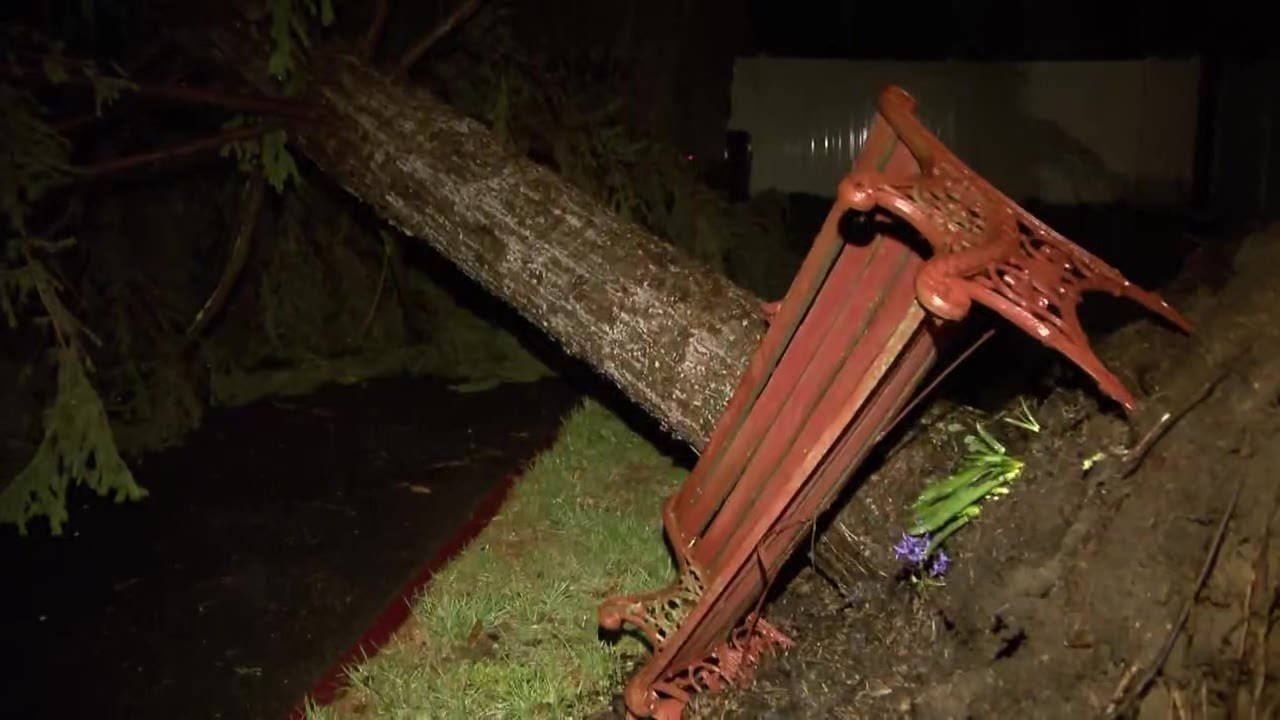 Trees, power lines downed in Howell Township after severe storms - YouTube