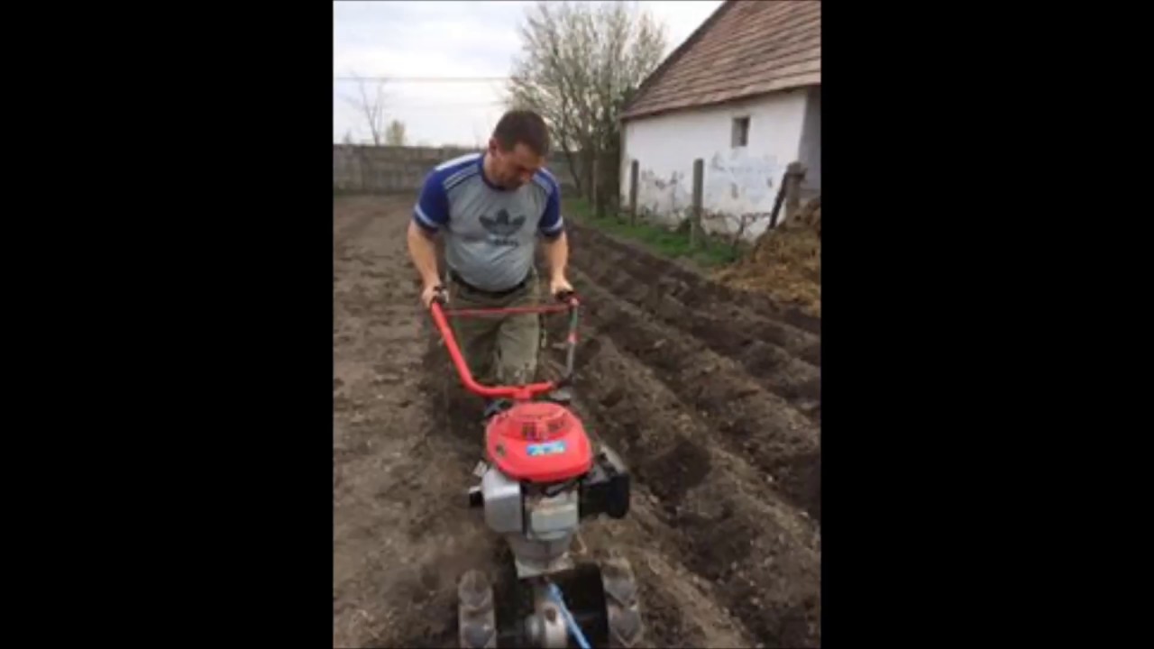 Bitto Duó- Csirke küldi báttyának Gézának 2017