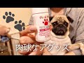 Pug's Paw care 犬の肉球ケア