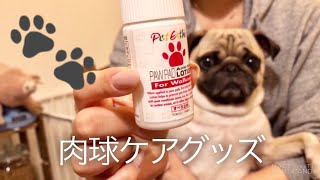 Pug's Paw care 犬の肉球ケア