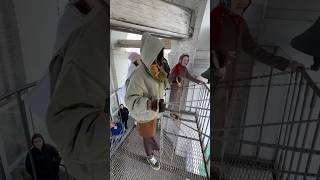 🔔 25.04.26. Светлая Седмица. Патриаршее Черниговское подворье. Илона Казакевич. #shorts