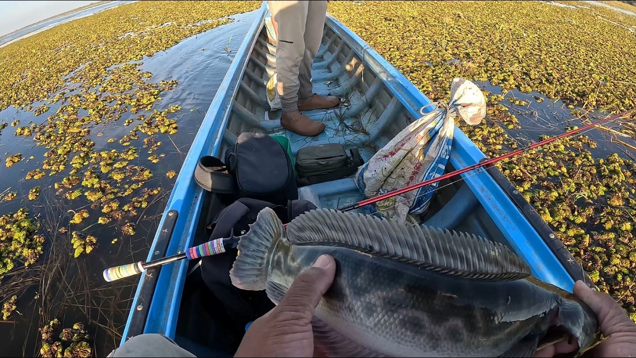 តាមយកត្រីឌៀបនៅអាងកំពឹងពួយមួយល្ងាចទើបបាន