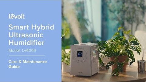 Levoit LV600S Smart Hybrid Ultrasonic Humidifier - Clean Up Guide