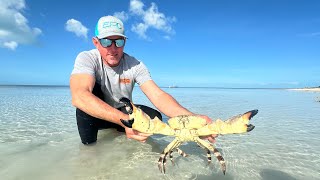 Biggest Crabs I’ve Ever Seen and Caught Bare Handed! (Catch Clean \& Cook)