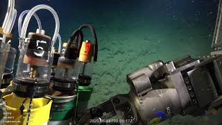 World Ocean Day stream from Fuente Seamount | SOI Divestream 532 - Part 4