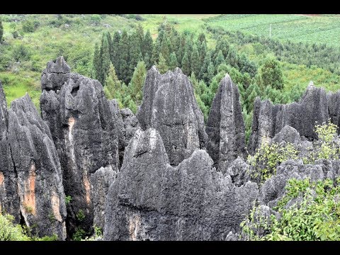 Vidéo: Shilin - Une Forêt De Pierres En Chine - Vue Alternative