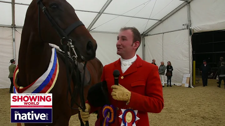 SEIB Racehorse to Riding Horse Champion- Gateshead