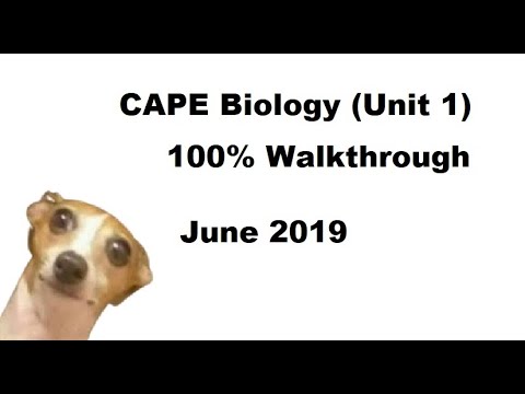 CAPE Biology Unit 1 2019 Paper 2 Let&rsquo;s Play