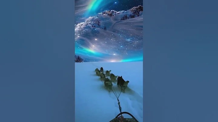 Magical Christmas in Lapland #finland