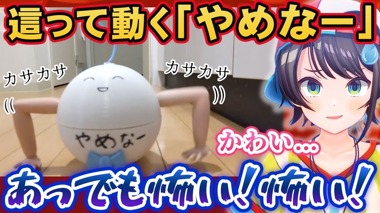 歩くタイプの「やめなー」を見て感情がグッチャグチャになる大空スバル【ホロライブ切り抜き】