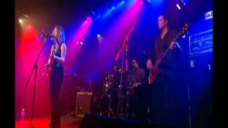 スー・フォーリー Sue Foley / ラジカル・ビスケット