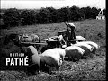 Trailer - Agriculture Recruitment (1950)