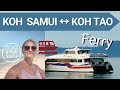 Comment se rendre de koh samui  koh tao 